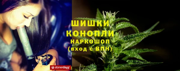 apvp Белокуриха