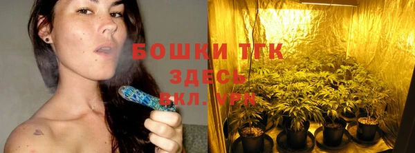 apvp Белокуриха